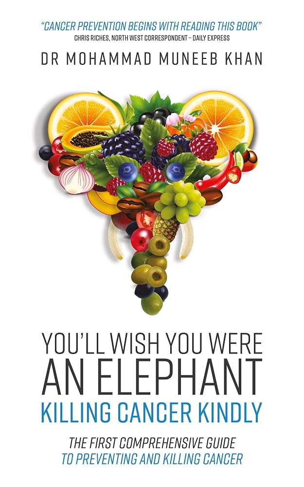Front cover of You’ll Wish You Were an Elephant by Dr Mohammad Muneeb Khan